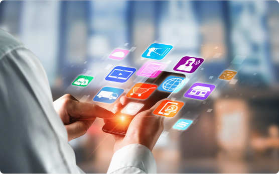 分类整理你的媒体数据，并确保其安全